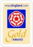 VE Gold award.jpg